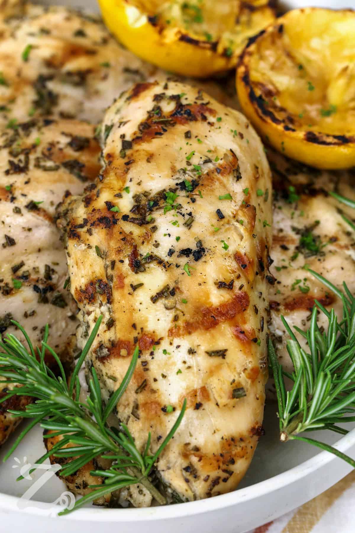 close up of Grilled Chicken