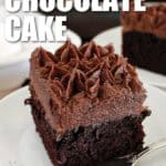 a slice of homemade chocolate cake on a white plate and cake in the background with a title