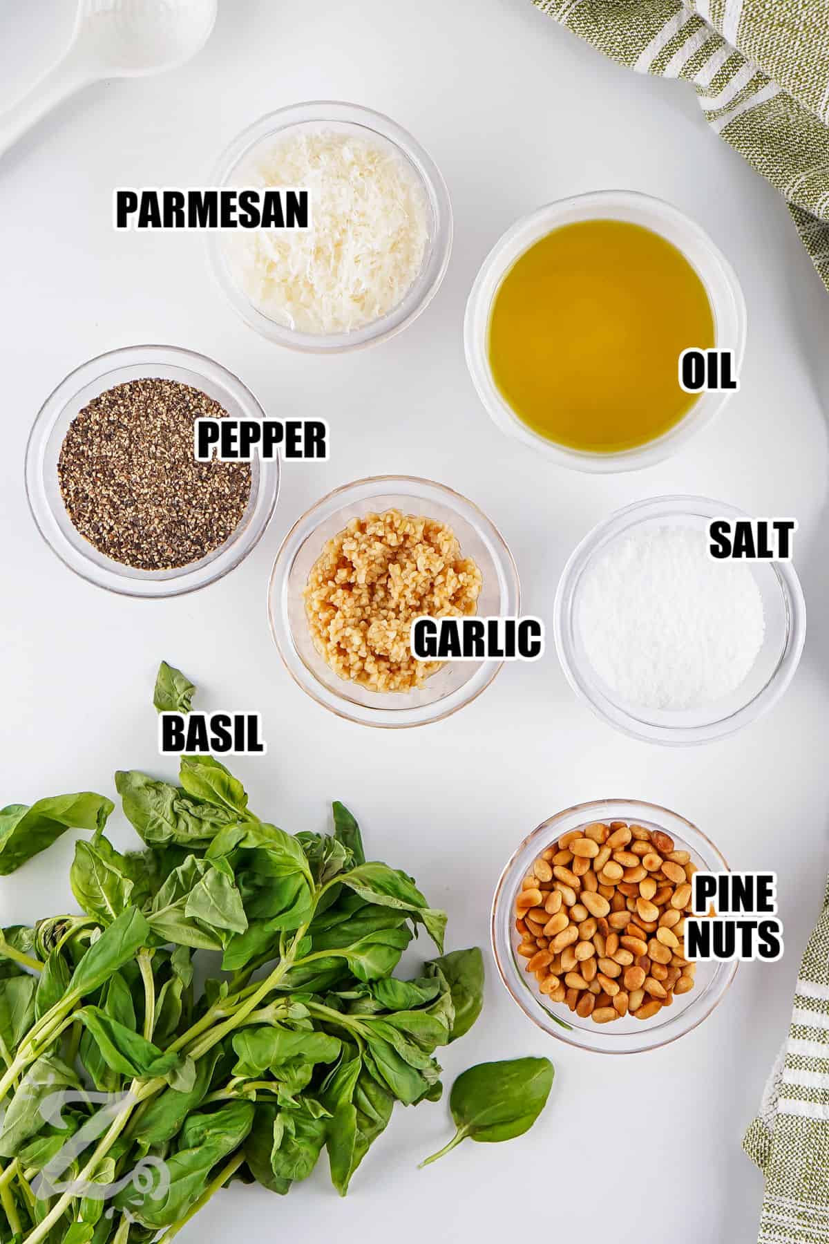 parmesan , oil , pepper , garlic , salt , basil , pine nuts with labels to make Homemade Pesto
