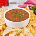 plate of tortilla chips with Blender Salsa