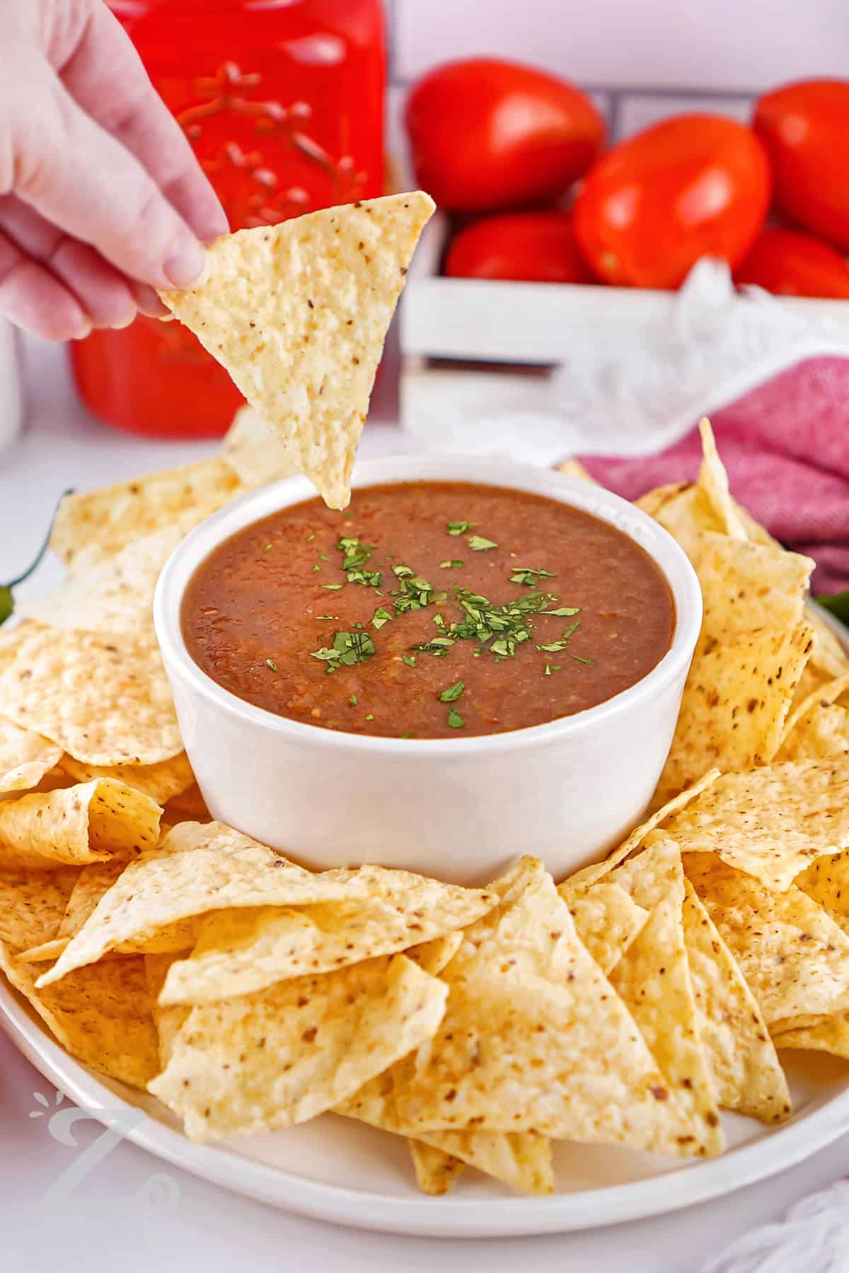 dipping a chip in Blender Salsa