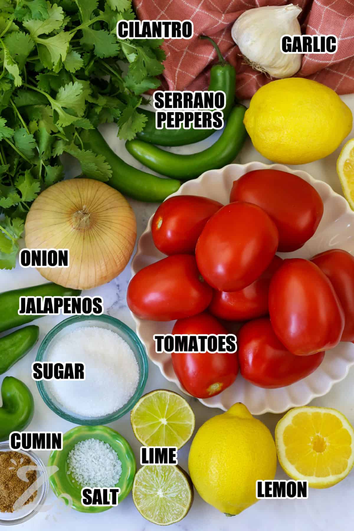 cilantro , garlic , serrano peppers , onion , jalapeno peppers , sugar , cumin , salt , lime , lemon , tomatoes with labels to make Blender Salsa