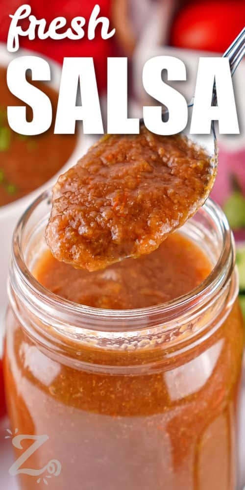 spoonful of Blender Salsa with a title
