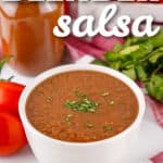 bowl of Blender Salsa with a title