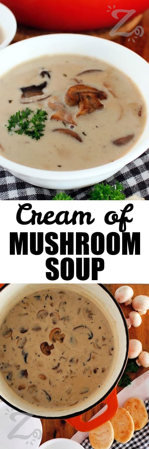 Homemade cream of mushroom soup in a white bowl and garnished with a mushroom and fresh parsley, and a pot of soup under the title.
